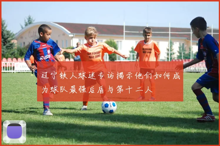 辽宁铁人球迷专访揭示他们如何成为球队最强后盾与第十二人